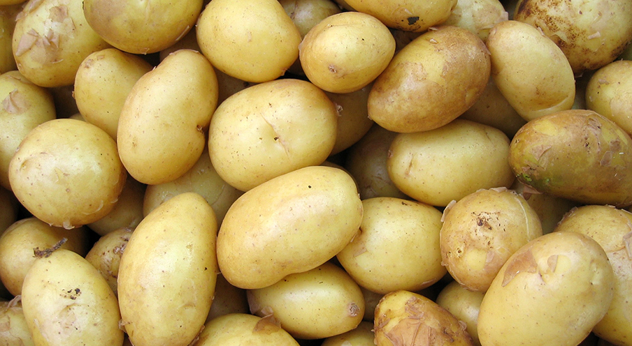 Potatoes early