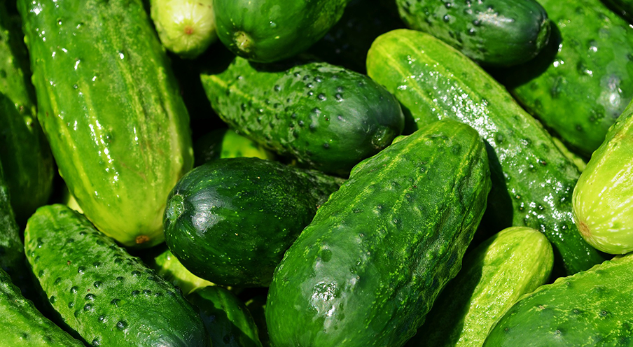 Cucumbers Nostrani