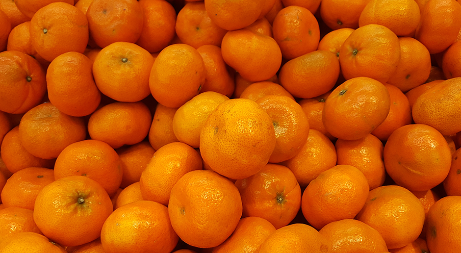 Satsumas